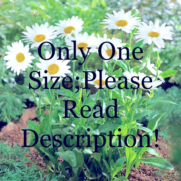 Lululemon Athletica Crop Cropped Capri Pant - Picture 10 of 10